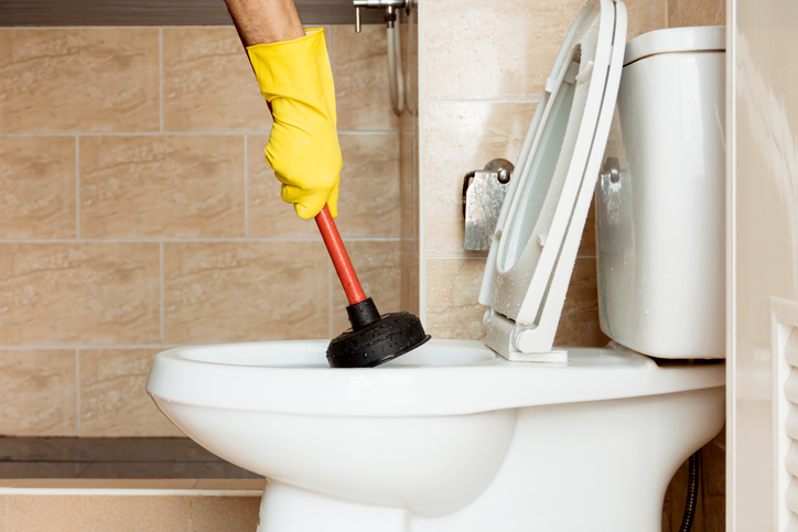 How Tree Roots Can Contribute to a Persistently Clogged Toilet